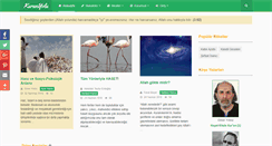 Desktop Screenshot of kuranyolu.net